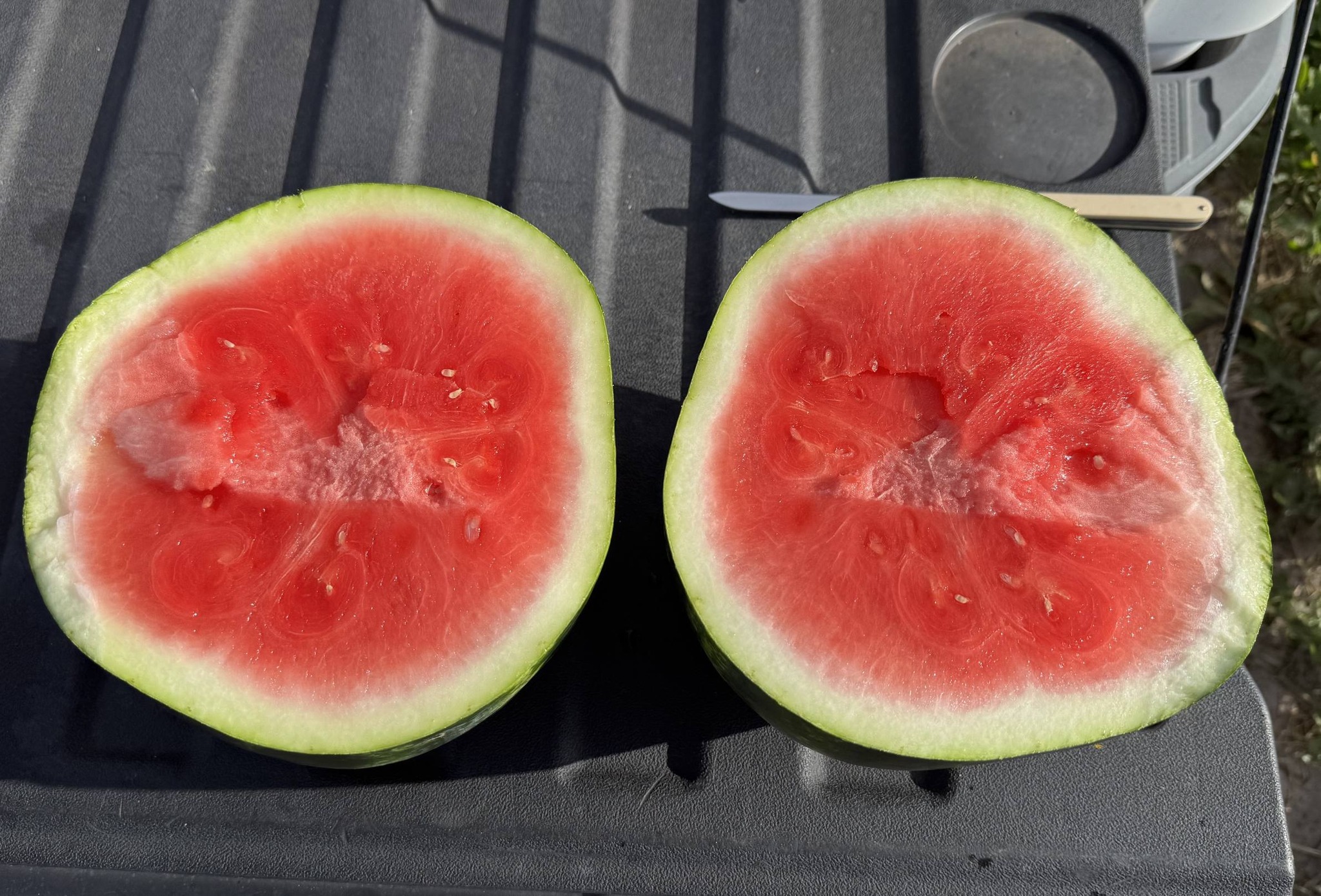 Cut watermelon grown off U.S. 70 by Wolf Island Farms near Lake Placid, Florida