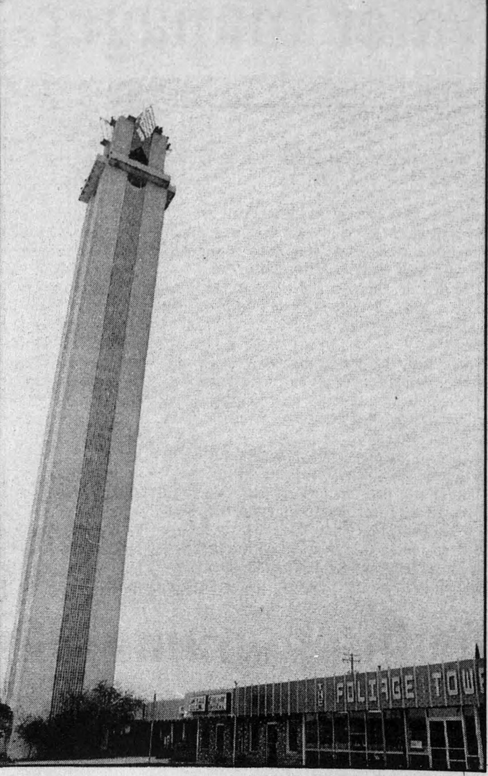 Foliage Tower 1992 photo