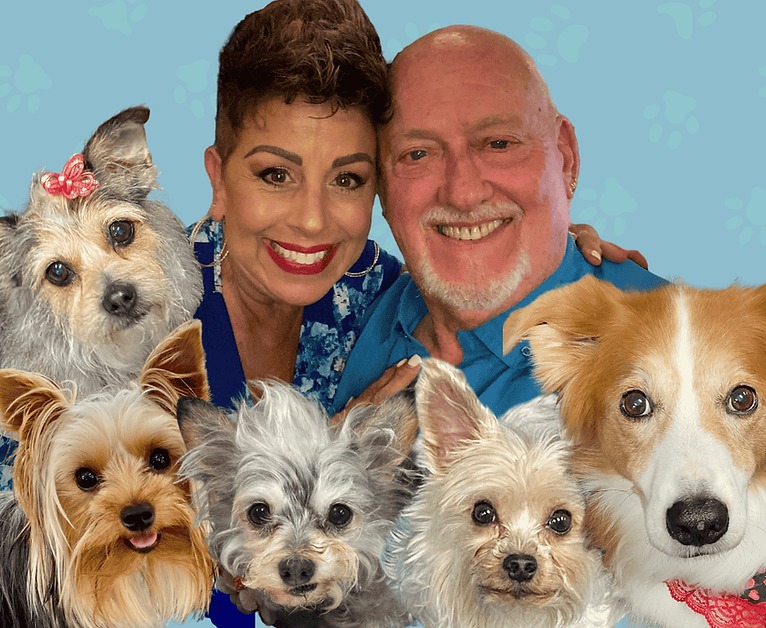 The Shevick Pack
